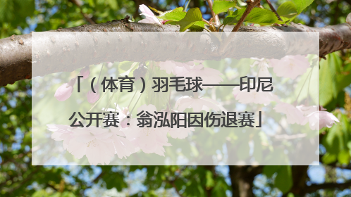 （体育）羽毛球——印尼公开赛：翁泓阳因伤退赛