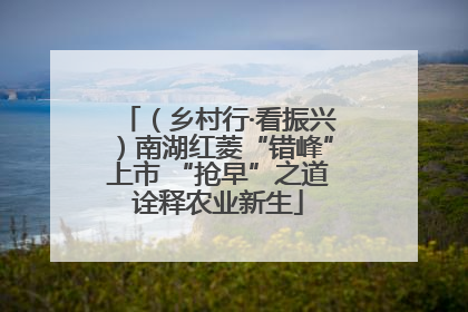 （乡村行·看振兴）南湖红菱“错峰”上市 “抢早”之道诠释农业新生