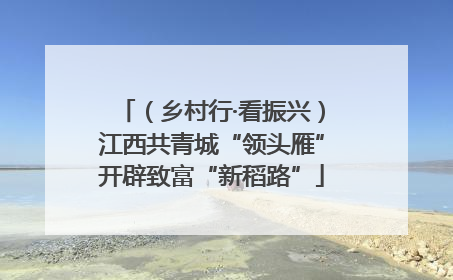 （乡村行·看振兴）江西共青城“领头雁”开辟致富“新稻路”