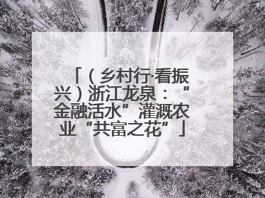 （乡村行·看振兴）浙江龙泉：“金融活水”灌溉农业“共富之花”