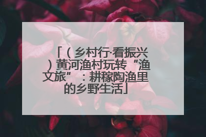 （乡村行·看振兴）黄河渔村玩转“渔文旅”：耕稼陶渔里的乡野生活