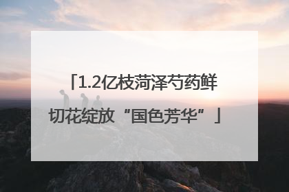 1.2亿枝菏泽芍药鲜切花绽放“国色芳华”