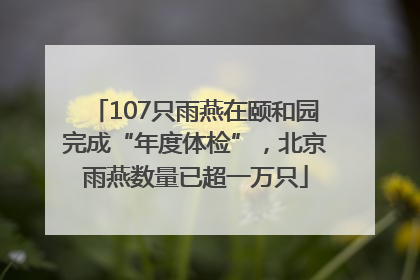 107只雨燕在颐和园完成“年度体检”，北京雨燕数量已超一万只