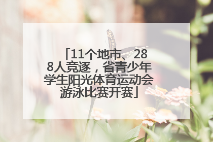 11个地市、288人竞逐，省青少年学生阳光体育运动会游泳比赛开赛