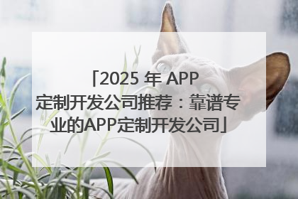 2025 年 APP 定制开发公司推荐：靠谱专业的APP定制开发公司