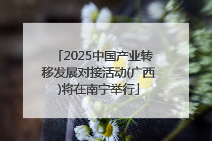 2025中国产业转移发展对接活动(广西)将在南宁举行