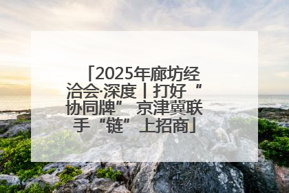 2025年廊坊经洽会·深度丨打好“协同牌” 京津冀联手“链”上招商