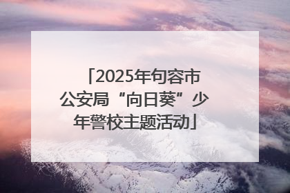 2025年句容市公安局“向日葵”少年警校主题活动