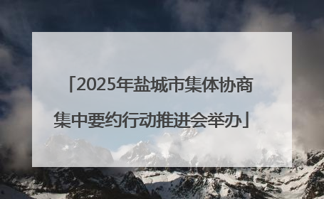 2025年盐城市集体协商集中要约行动推进会举办