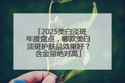 2025美白淡斑年度盘点，哪款美白淡斑护肤品效果好？含金量绝对高