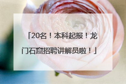 20名！本科起报！龙门石窟招聘讲解员啦！