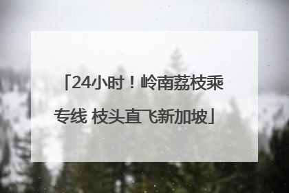 24小时！岭南荔枝乘专线 枝头直飞新加坡
