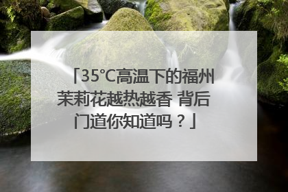 35℃高温下的福州茉莉花越热越香 背后门道你知道吗？