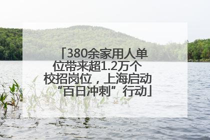 380余家用人单位带来超1.2万个校招岗位，上海启动“百日冲刺”行动