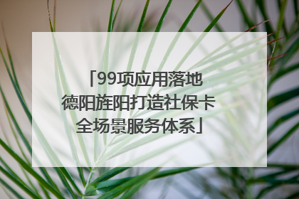 99项应用落地 德阳旌阳打造社保卡全场景服务体系