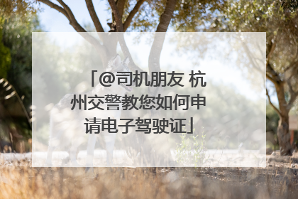 @司机朋友 杭州交警教您如何申请电子驾驶证