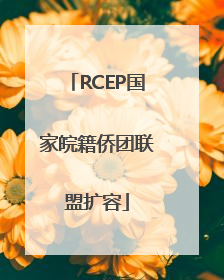 RCEP国家皖籍侨团联盟扩容