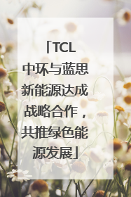 TCL 中环与蓝思新能源达成战略合作，共推绿色能源发展